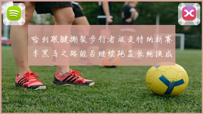 哈利跟腱撕裂步行者放走特纳新赛季黑马之路能否继续跑轰长轮换成关键
