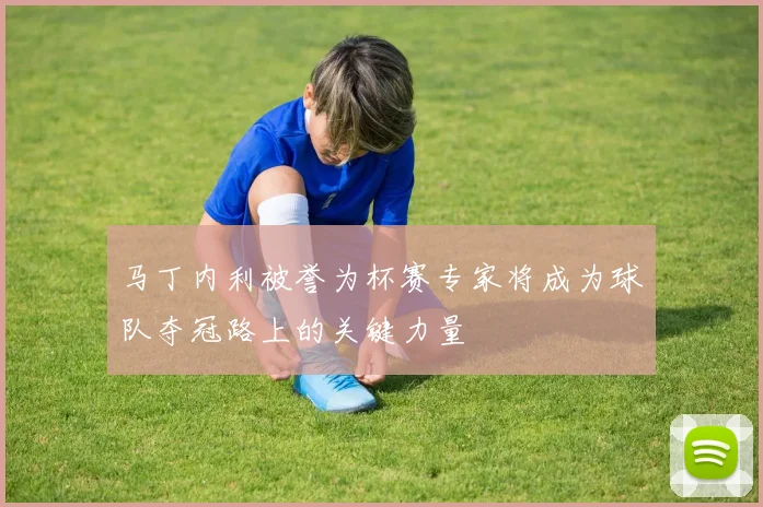 马丁内利被誉为杯赛专家将成为球队夺冠路上的关键力量