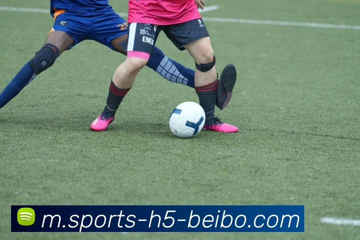 贝博体育服务体系